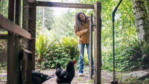 Performance Baseline for Content Pages