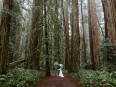 Test Rhythm for Editorial Content Kopie